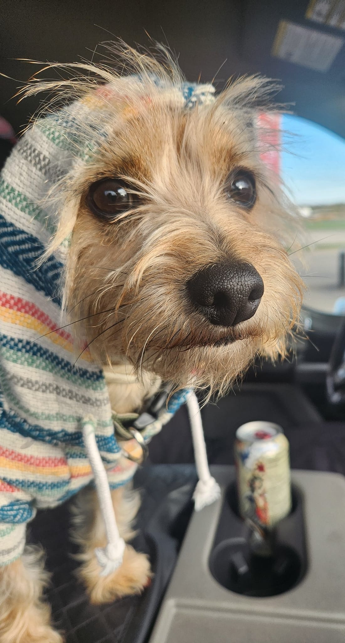 Good morning from Oliver