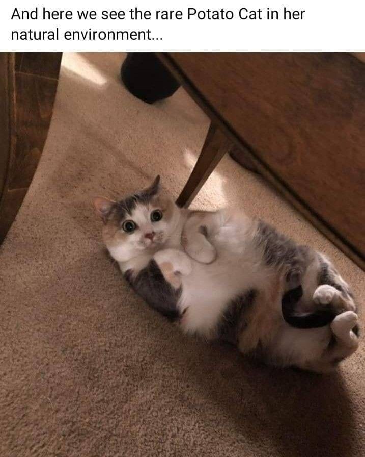 Kids out of school tomorrow! Let’s do 6 dollar walk in nail trim tomorrow so we ...