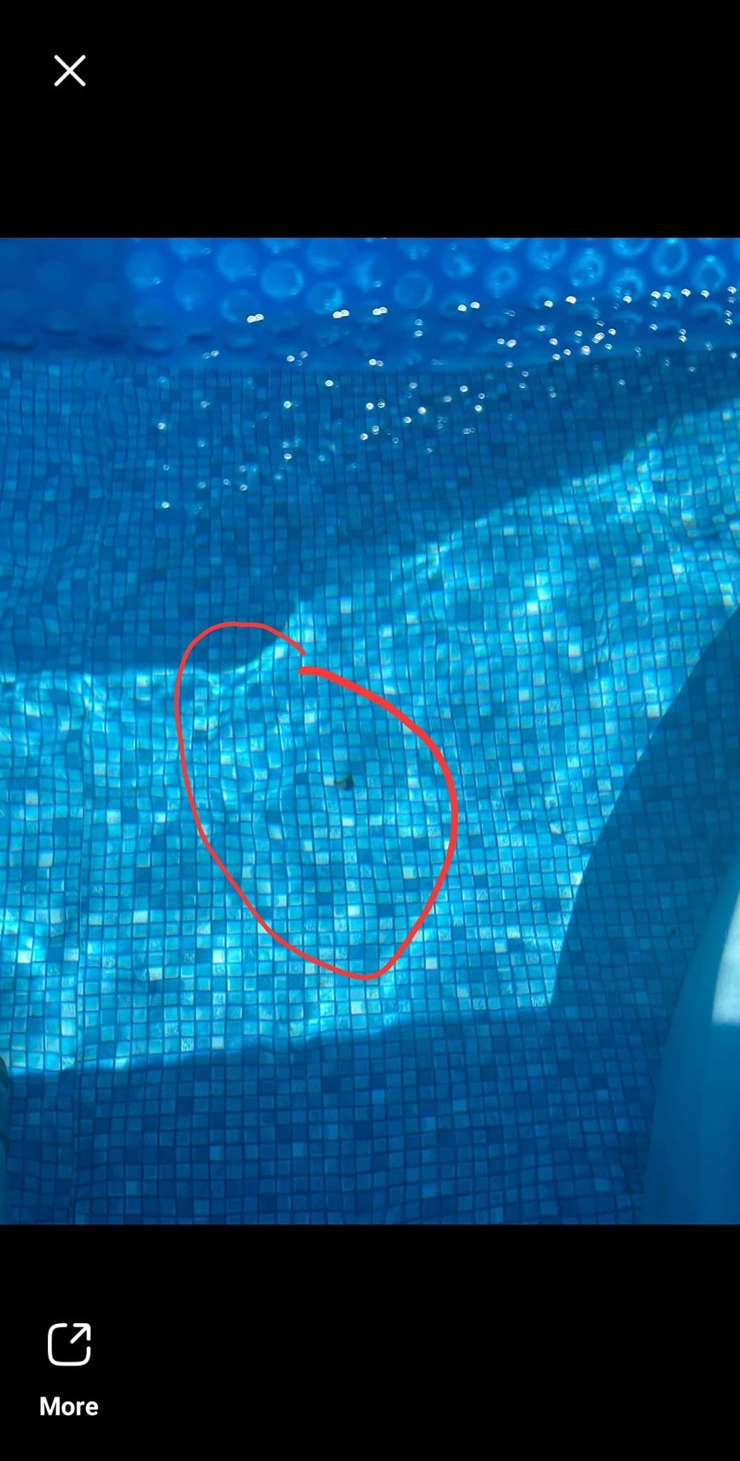 Thursday 
 Patch job
 Completely drained pool. Disassembled top portion of pool....